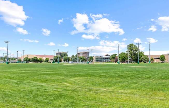 A large grassy field with a clear blue sky and some scattered clouds.