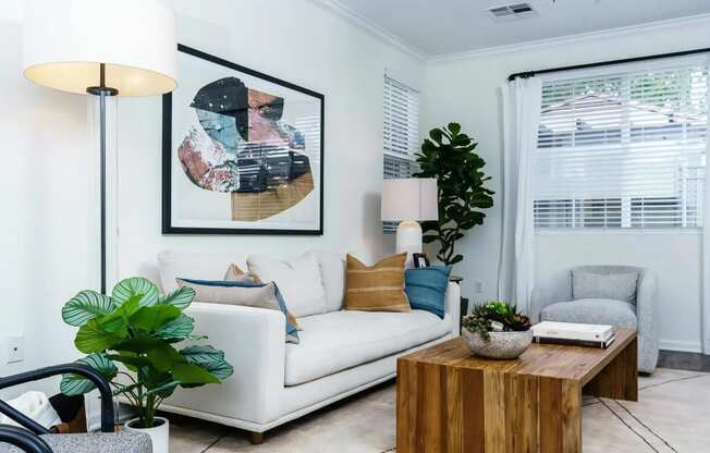 Living Room with Ample Natural Light