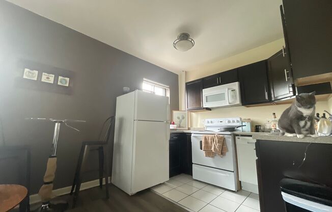 1 bed, 1 bath, $975, Unit 207