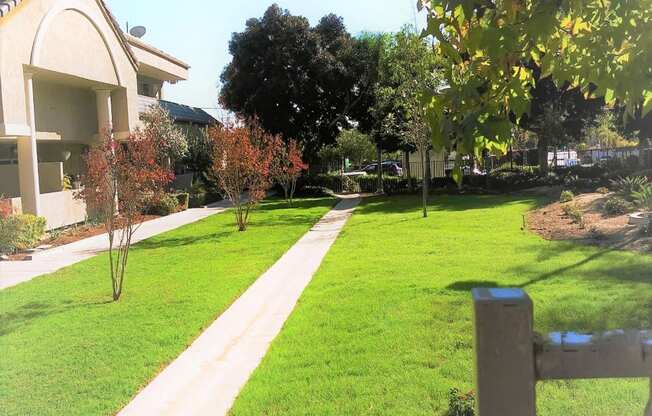 Grass area with walkway