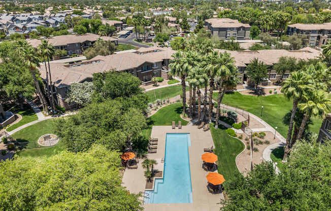 A swimming pool surrounded by palm trees and orange sunshades.
