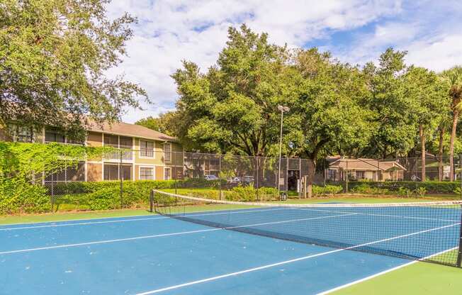 Tennis Court at Laurel Oaks Apartments in Tampa, FL