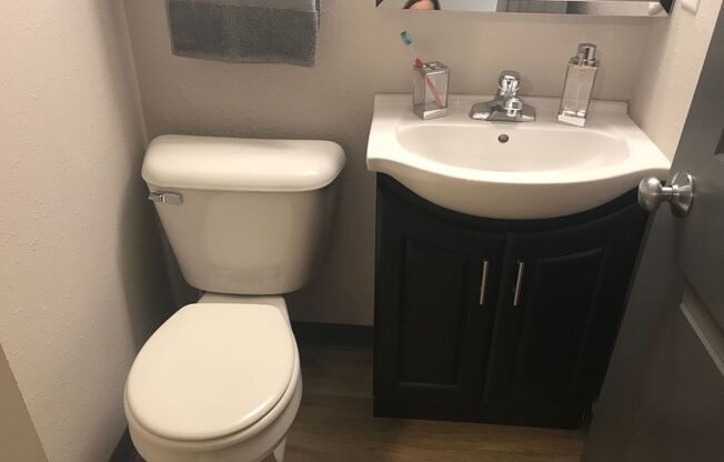 Studio, 1 bath, 265 sqft, $980