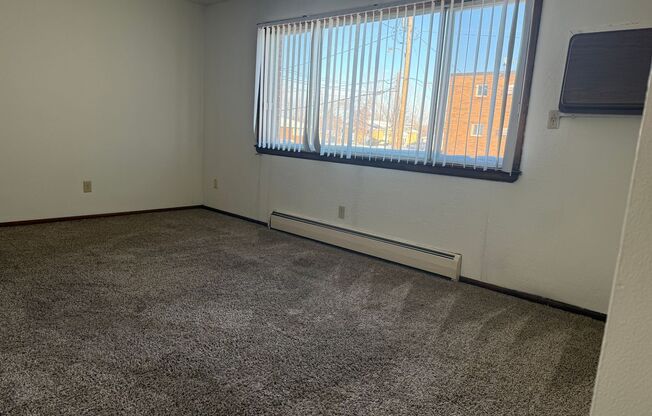 2 beds, 1 bath, 550 sqft, $695, Unit 1116-207