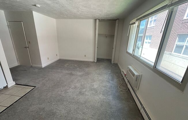 Studio, 1 bath, $795, Unit 217