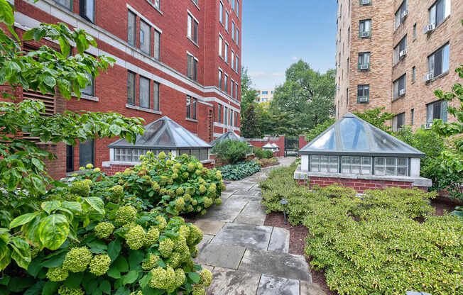 A garden with a green bush and a building in the background.