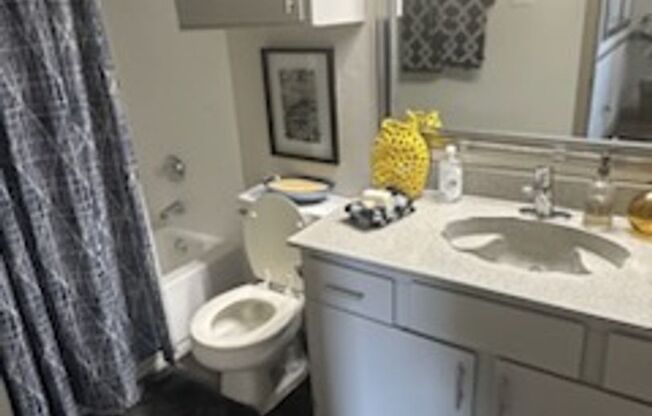 Studio, 1 bath, $1,180, Unit 1338