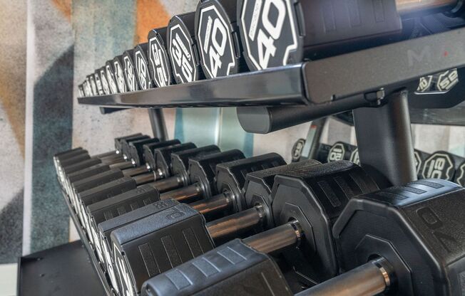 2 beds, 2 baths, 1,156 sqft, $3,891, Unit 303