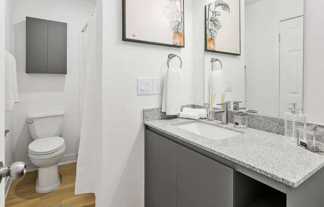 A bathroom with a toilet, sink, and mirror.