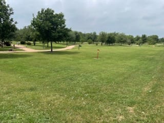 A grassy field with a few trees and a flag in the distance.