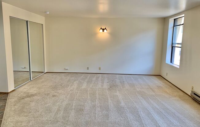 Studio, 1 bath, 460 sqft, $1,295, Unit 305