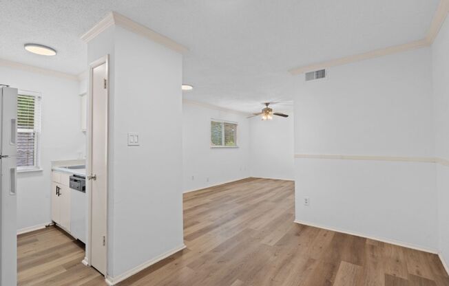 4105 Speedway, Unit 204