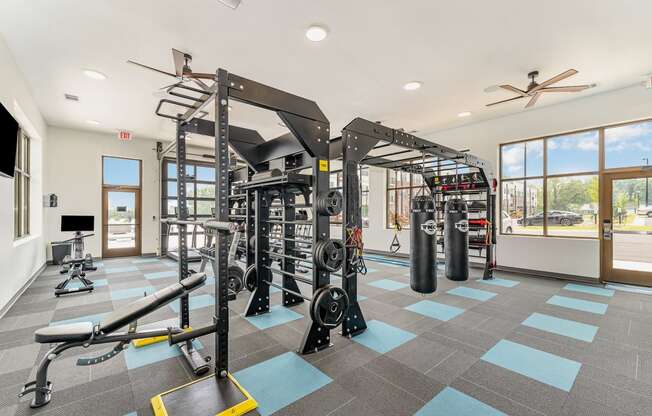 a fully equipped fitness center with weights machines and other exercise equipment