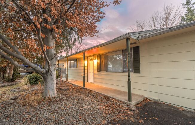 Remodeled 3 Bedroom 2 Bathroom Home, yard, carport