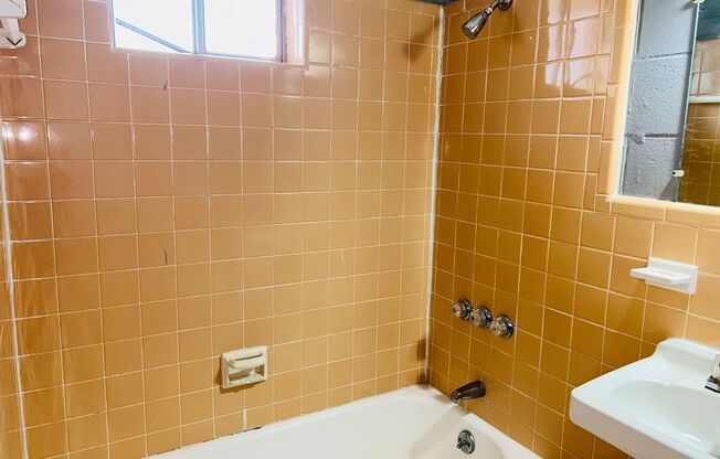 1 bed, 1 bath, $725, Unit 128 S Main Ave Unit 08