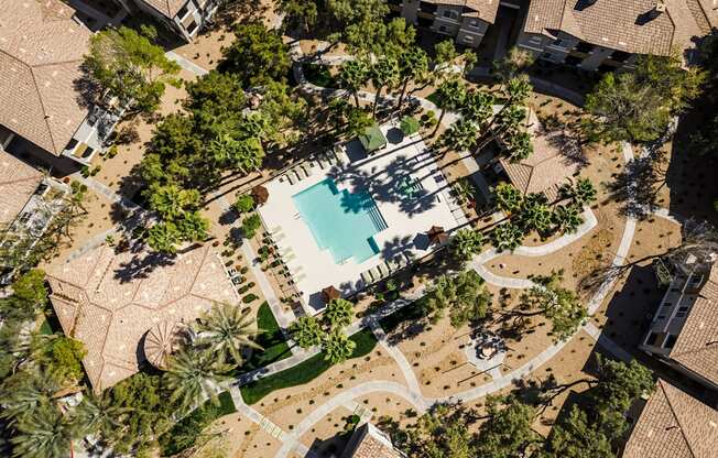 A swimming pool surrounded by palm trees and a grassy area.