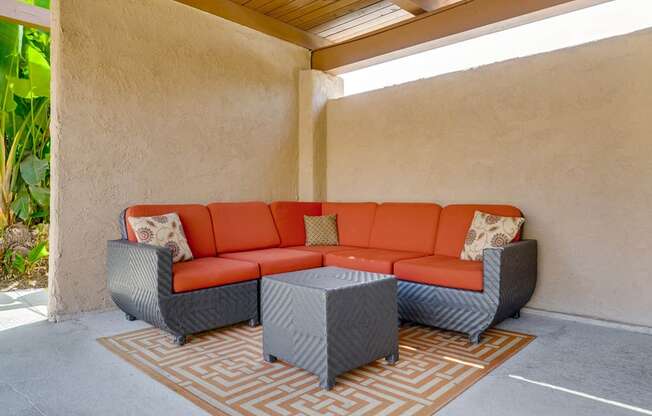 SpringTree Apartments Lifestyle - Outdoor Lounge Area