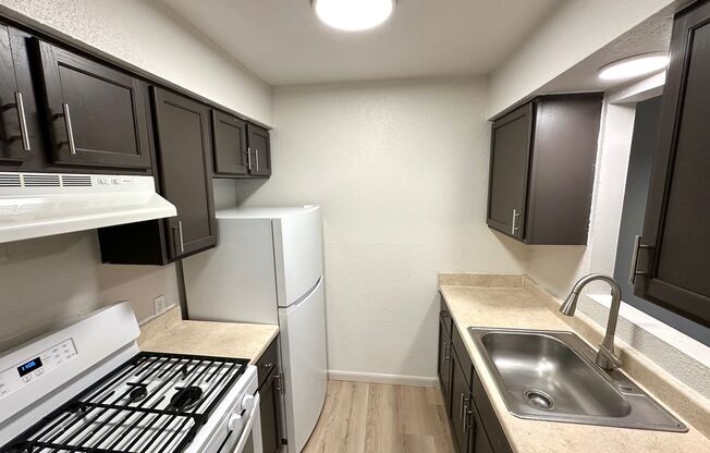 1 bed, 1 bath, $995, Unit 223