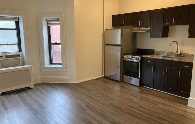 1 bed, 1 bath, 450 sqft, $1,299, Unit 1301-24