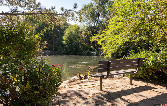 a park bench overlooking a river with ducks