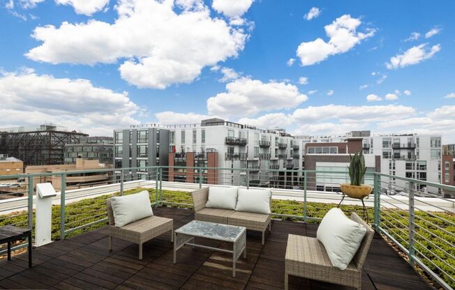 Glorious Penthouse with Rooftop Deck