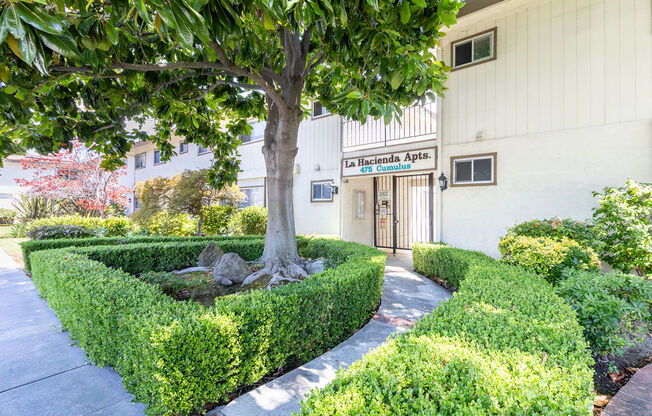 a tree in front of a building with hedges