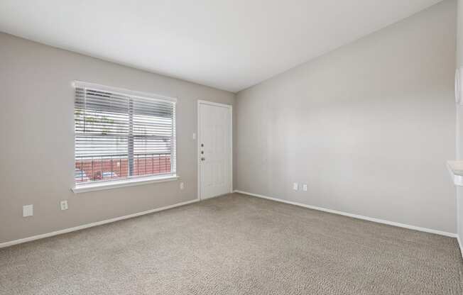 A room with a carpeted floor, a window with blinds, and a door.