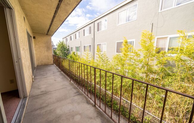 1 bed, 1 bath, $1,695, Unit 10