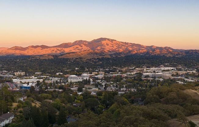 1 bed, 1 bath, 500 sqft, $2,150, Unit 44