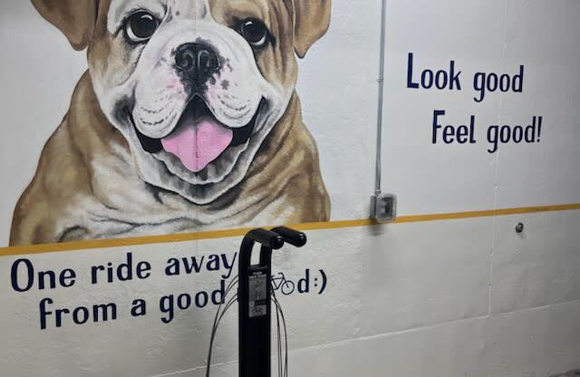 A mural of a bulldog on the wall next to the bike repair station at WH Flats in Lincoln, NE