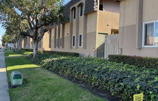 Large 2 bedroom Apartment in Clairemont