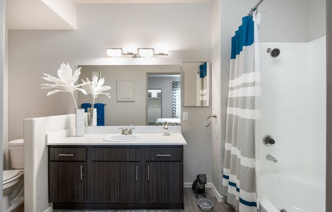 a bathroom with a shower and a sink and a mirror