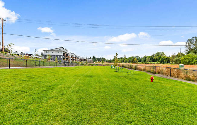 A large grassy field with a red fire hydrant in the distance.