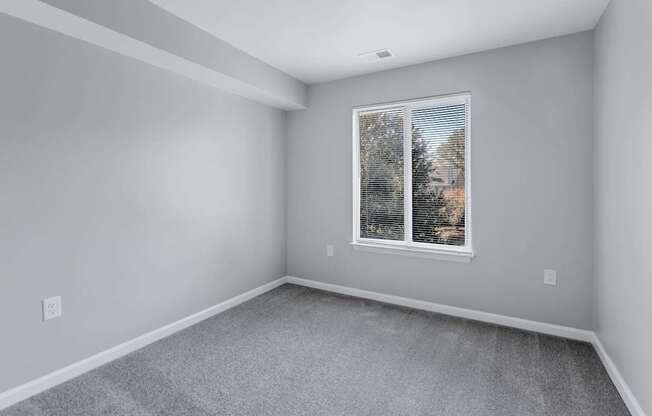 room with carpet and window in a new home