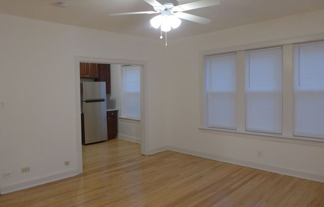 Studio, 1 bath, 475 sqft, $1,295, Unit 201