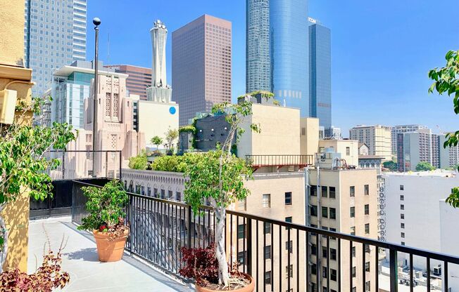 1 bed, 1 bath, $2,195