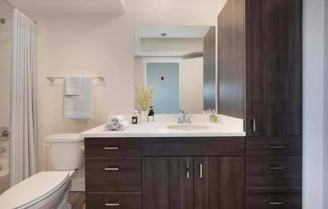 a bathroom with a sink and a toilet and a mirror at Track 281 Apartments, Sacramento, CA, 95811