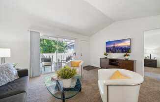 a living room with a couch and a glass coffee table and a tv