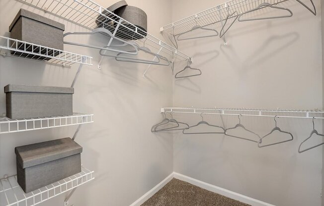 our apartments have a walk in closet with plenty of room to move around