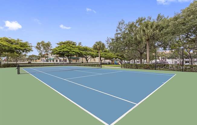 Large community tennis court surrounded in palm trees