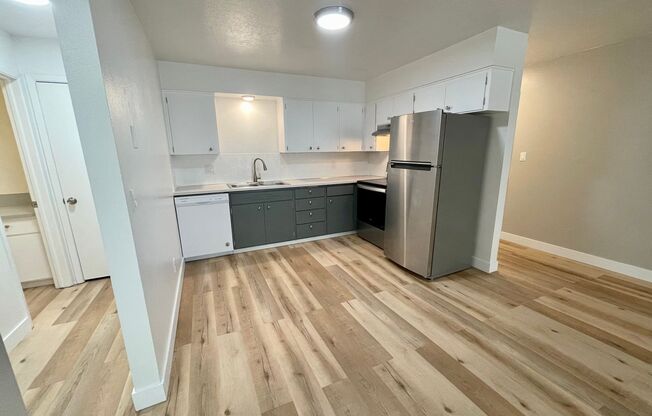 2 beds, 1 bath, 760 sqft, $1,100, Unit 1