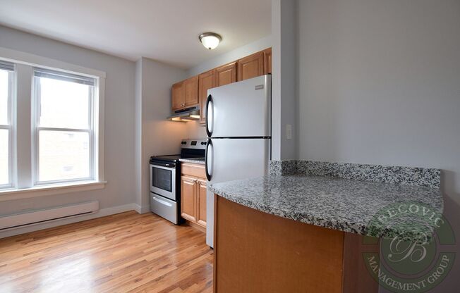 Studio, 1 bath, 266 sqft, $1,295, Unit 7450-42