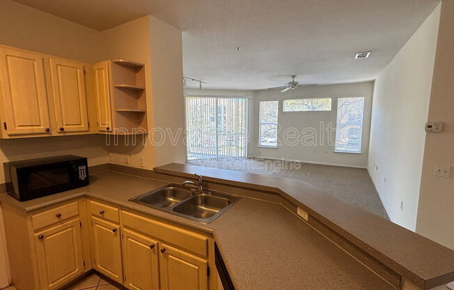 1150 Lake Shadow Circle #3206