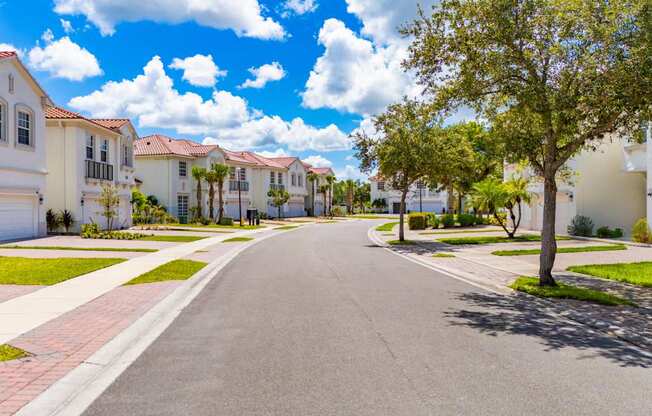 A tree stands on the side of a street lined with houses.