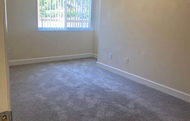 1 bed, 1 bath, 650 sqft, $1,575, Unit 3335 #001