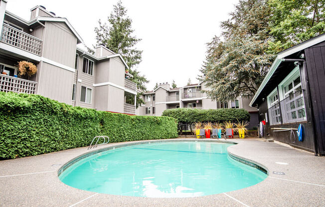 A swimming pool in front of a building with a hedge on the left. at Notch 8, Tacoma, 98444