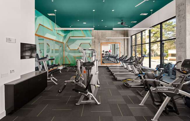 a gym with cardio machines and a wall of windows