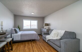 Studio, 1 bath, 450 sqft, $795, Unit Unit 206