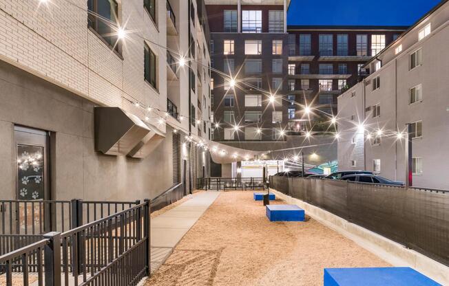 Pet run with evening lighting and built-in seating for outdoor breaks.