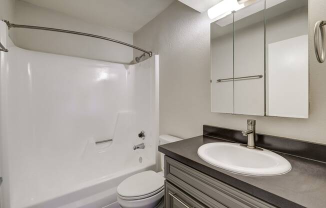 the preserve at ballantyne commons apartment bathroom with sink toilet and shower